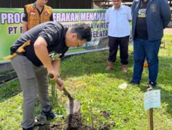 Satu Orang Satu Pohon, Gebrakan PTPN lV PKS Aeknabara Selatan Lakukan Penghijaun