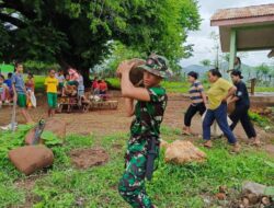 Satgas Pamtas RI-RDTL Yonarhanud 15/DBY Pos Oepoli Tengah Gelar Karya Bakti di SD Negeri Tetaum 2
