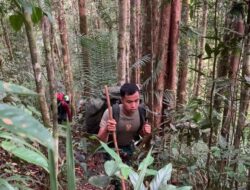 Satgas Gabungan Bersama Satgas Pamtas RI-Mly Yonzipur 5/ABW Laksanakan Patroli di Taman Nasional Betung Kerihun