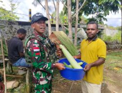 Hasil Kebun Melimpah, Satgas Yonif 641 Bagi-Bagi Sayur Gratis Kepada Warga Kampung Muaranawa