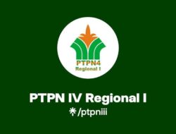 Hak Jawab PTPN IV Regional I Terkait Berita Pemukulan dan pemborgolan Syahdan Saragih