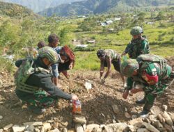 Satgas Yonif 715/MTL Bagikan Bibit Hanpangan ke Masyarakat Kampung Wuyuneri