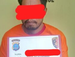 Polsek Torgamba Amankan Pelaku Pencuri Buah Sawit Warga,