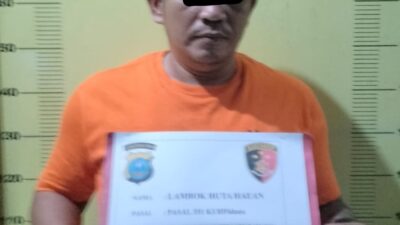 Reskrim Polsek Torgamba Tangkap Pelaku Penganiayaan 