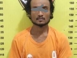 Polsek Na IX-X Bekuk Pengedar Sabu di Perladangan Kelapa Sawit