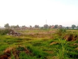 Dugaan Penelantaran Tanah Pasca Penambangan, LPLH TN Probolinggo Raya Siap Lapor ke APH