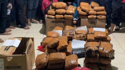 Peredaran Ganja 83 Kg Jaringan Sumatera Digulung di Bekasi, Ditresnarkoba Polda Metro Jaya Ciduk 3 Pelaku