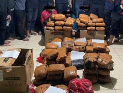 Peredaran Ganja 83 Kg Jaringan Sumatera Digulung di Bekasi, Ditresnarkoba Polda Metro Jaya Ciduk 3 Pelaku