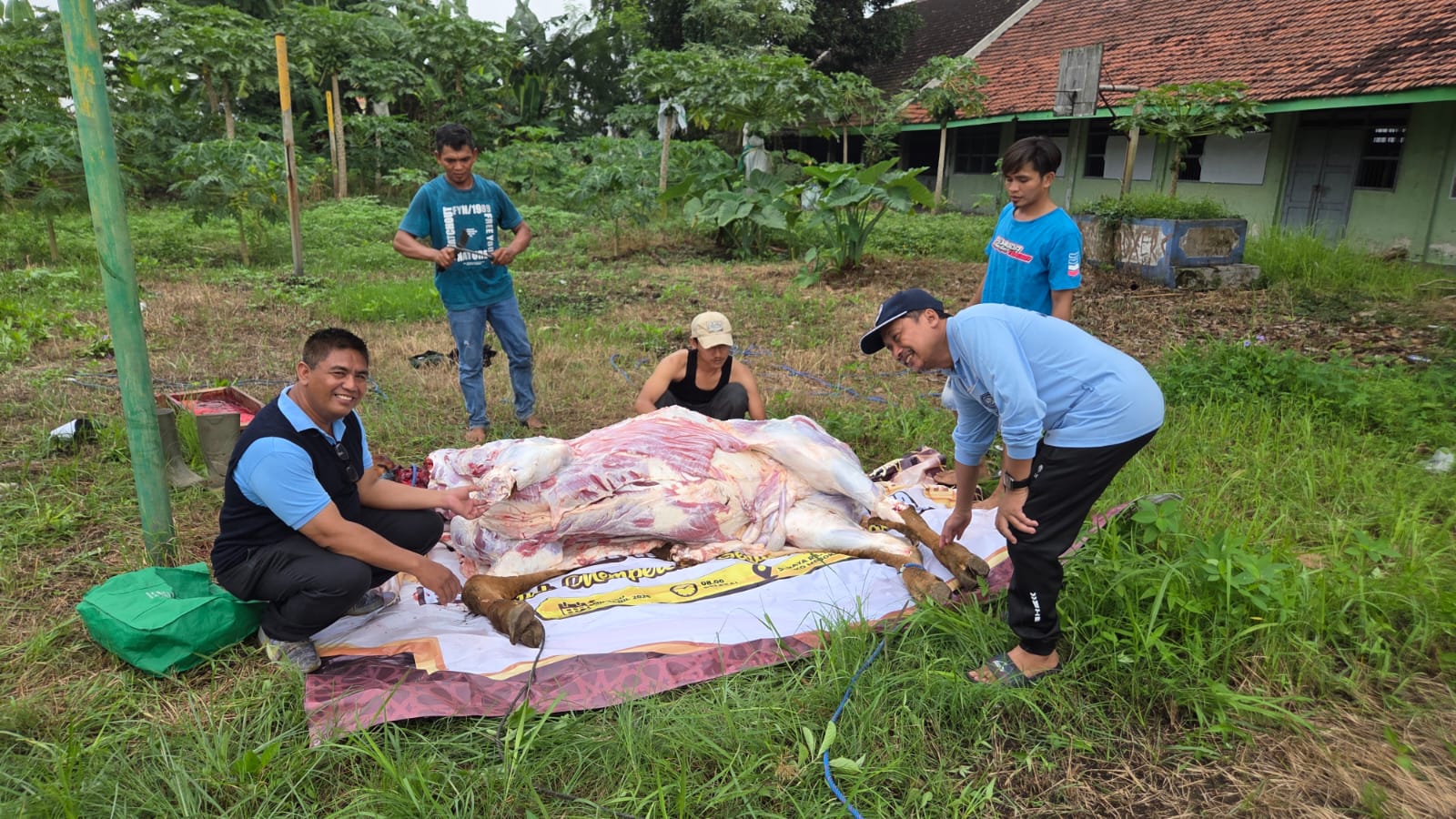 Para dosen, staf, tenaga kependidikan, dan mahasiswa STT Raden Wijaya Kota Mojokerto, tampak antusias saling membantu memotong dan mengolah daging kurban tanpa membedakan jabatan maupun tugas.